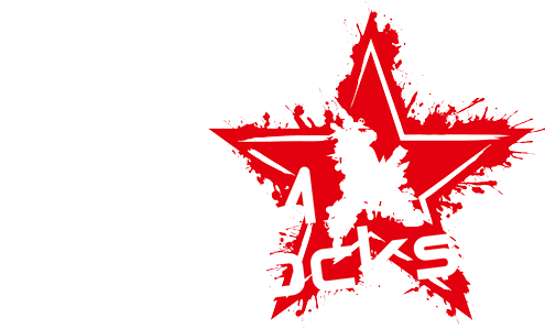 STEAM rocks Logo